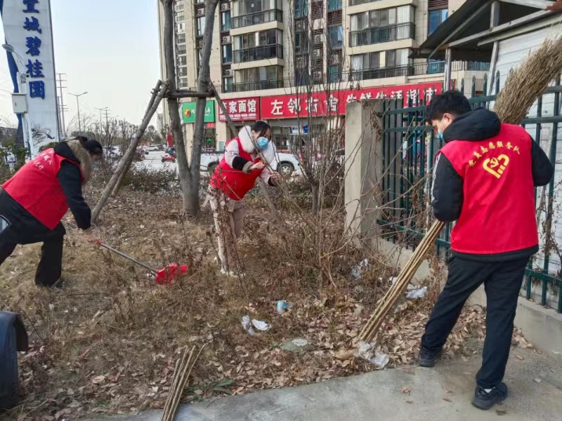 龙头街道最新新闻报道