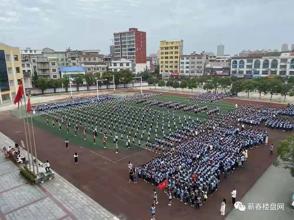 蕲春县初中发展规划，塑造未来教育蓝图