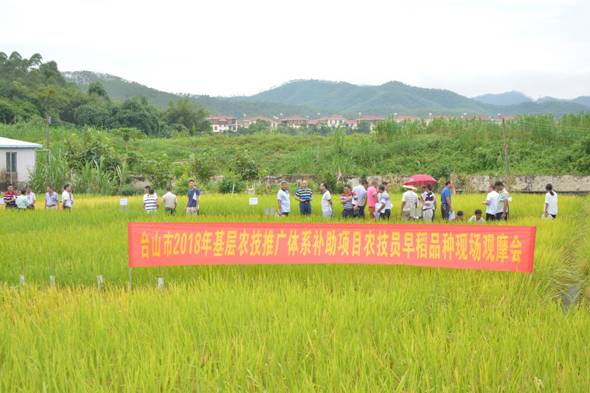 霍州市农业农村局新项目推动农业现代化，乡村振兴再添动力